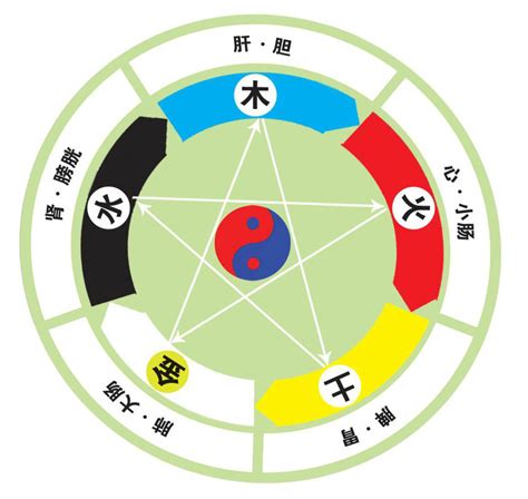 中國五行屬性|五行